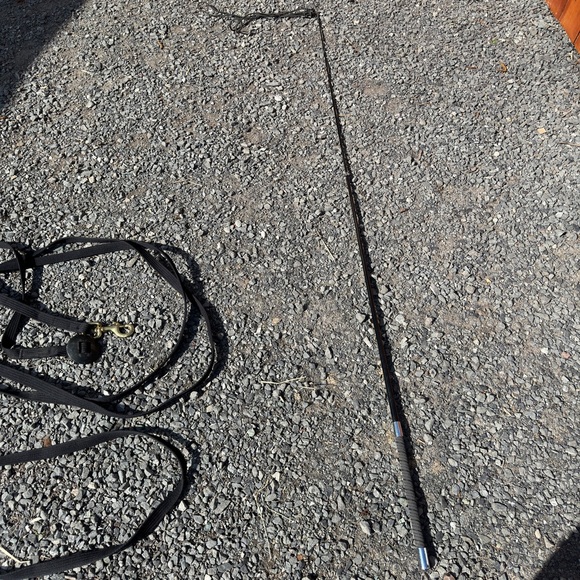Lunge line and and whip - Picture 2 of 5